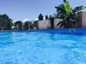 Отель Villa Apsua  Gudauta